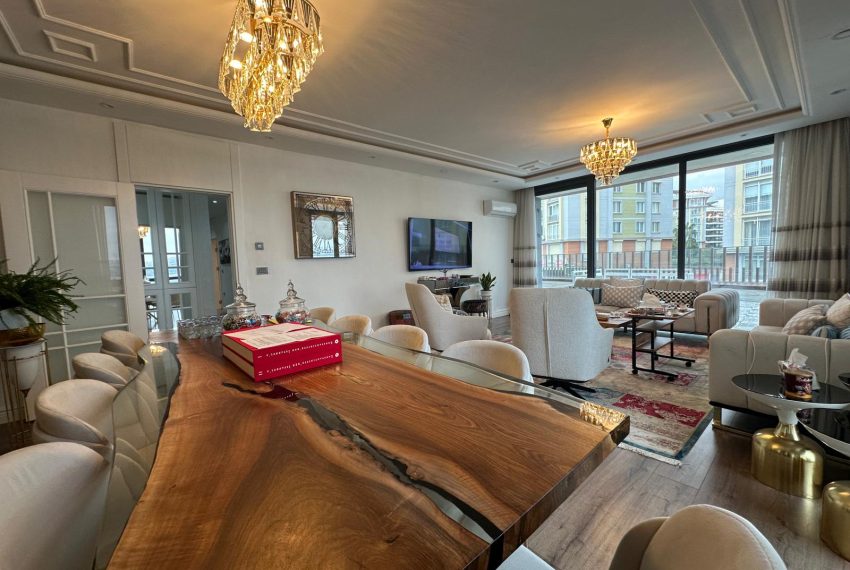 WhatsApp Image 2026-02-16 at 16.51.47 (1)