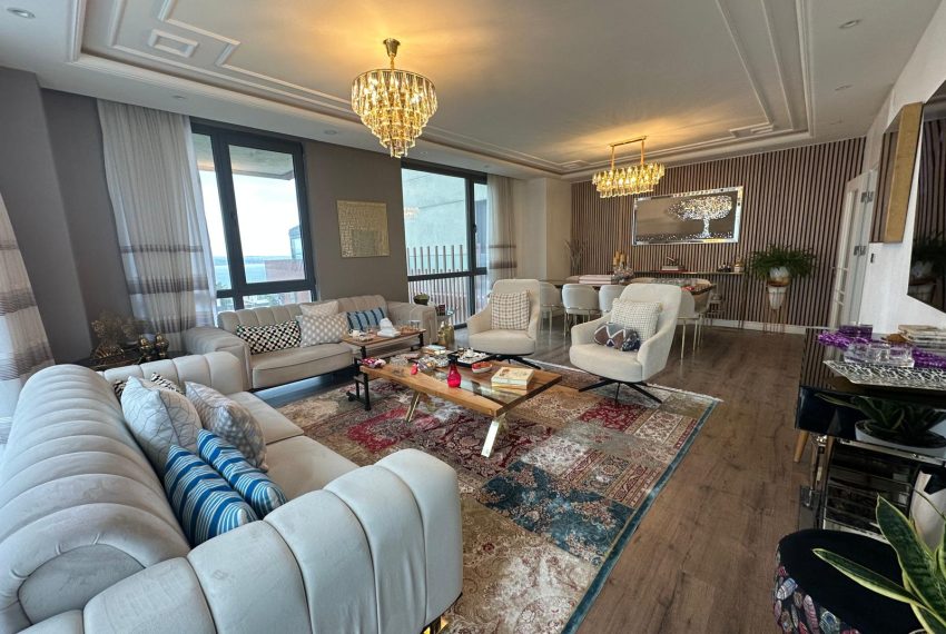 WhatsApp Image 2026-02-16 at 16.51.47 (3)