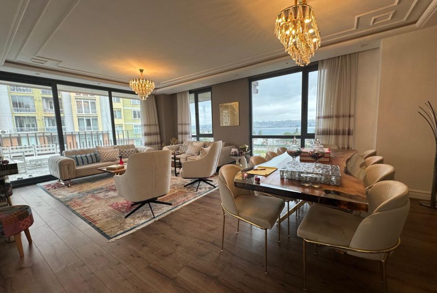 WhatsApp Image 2026-02-16 at 16.51.47